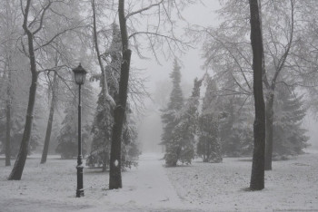 Фотография к новости: Какой будет погода в Казахстане 11 декабря