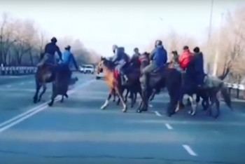 Фотография к новости: Группа всадников устроила кокпар на улицах Талдыкоргана