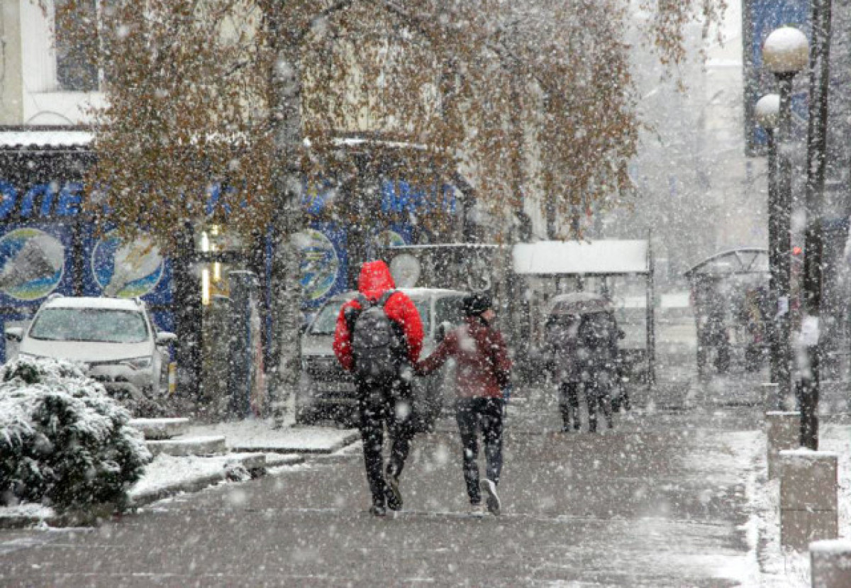  иллюстративное 