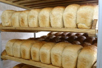 Фотография к новости: Повлияет ли рост акцизов на бензин на подорожание хлеба и мяса в Казахстане