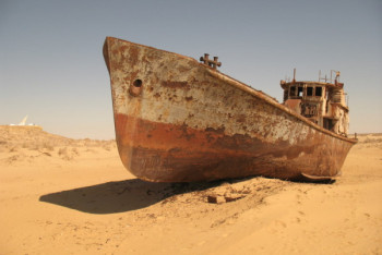 Фотография к новости: Роман Роллана Сейсенбаева об Арале претендует на премию PEN America