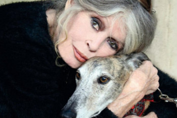 Фотография к новости: Информацию Бриджит Бардо о сжигании бездомных животных опровергли в акиматах Уральска и Атырау