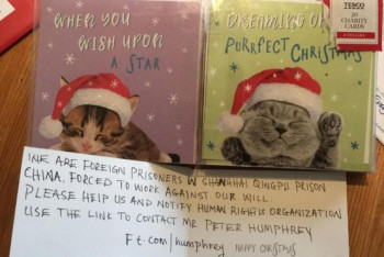 Фотография к новости: В Британии девочка купила открытки с посланием от китайских заключенных