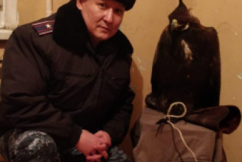 Фотография к новости: Полиция нашла хозяина беспризорного беркута в Усть-Каменогорске