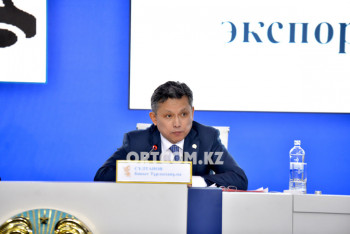 Фотография к новости: Каким бизнесом выгодно заниматься в Казахстане, рассказал Султанов