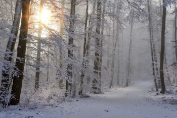 Фотография к новости: Штормовое предупреждение объявлено в шести областях Казахстана