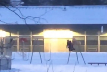 Фотография к новости: Оптическая иллюзия с качелями запутала пользователей Сети