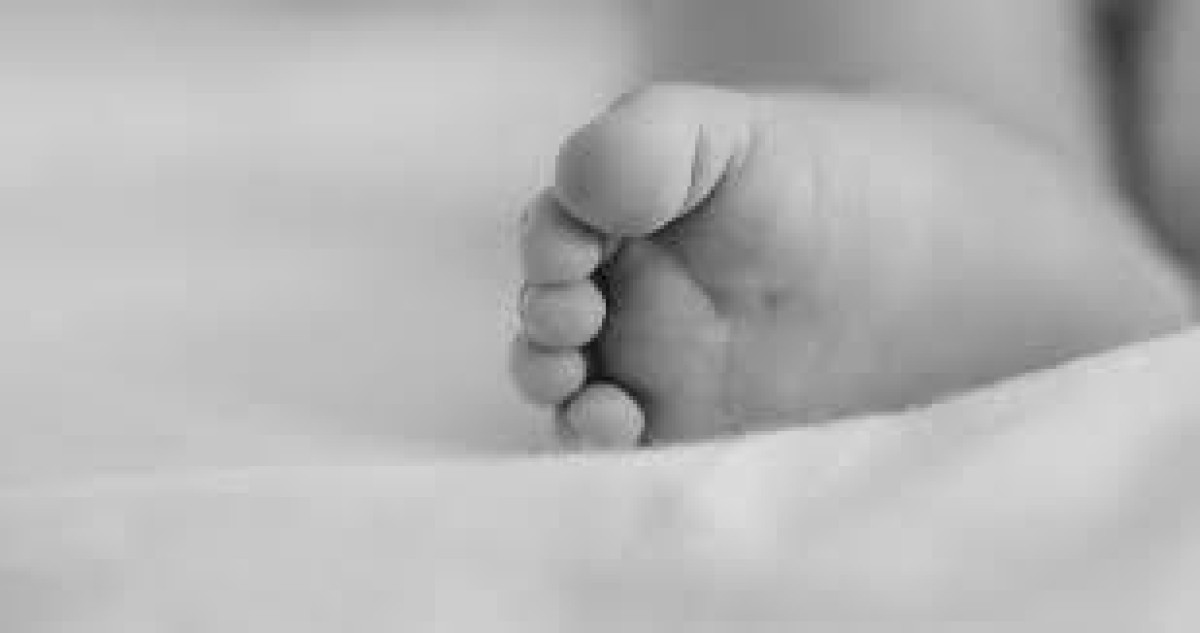  иллюстративное