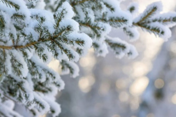 Фотография к новости: Какая погода ожидает казахстанцев 28 декабря