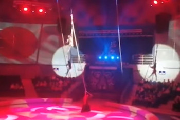 Фотография к новости: Акробатка упала с высоты в цирке Владивостока