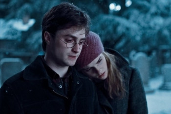 Фотография к новости: Стало известно, о чем может быть новый фильм о Гарри Поттере