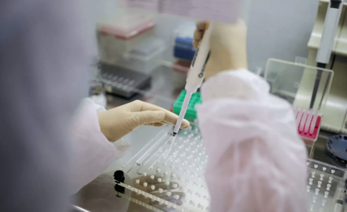  иллюстративное