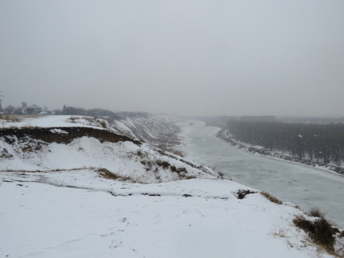  Надежды Наумовой