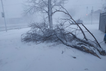 Фотография к новости: "Снежный апокалипсис" - без света и воды остались жители Костанайской области