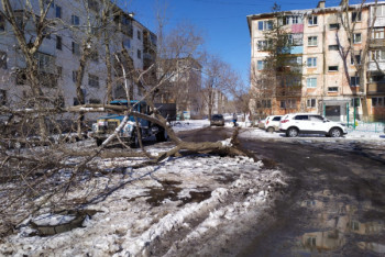 Фотография к новости: Город поваленных деревьев: в Костанае устраняют последствия непогоды