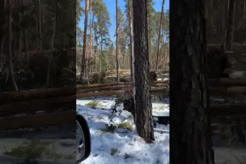 Фотография к новости: Сумму ущерба от разбушевавшейся стихии назвали в Костанайской области