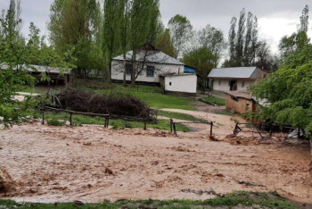 Фотография к новости: Вода разрушила 845 домов в Туркестанской области из-за прорыва дамбы в Узбекистане