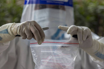 Фотография к новости: Имеет ли право работодатель требовать ПЦР-тест на коронавирус