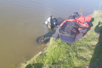 Фотография к новости: Спас девушку, но утонул - трагедия под Нур-Султаном
