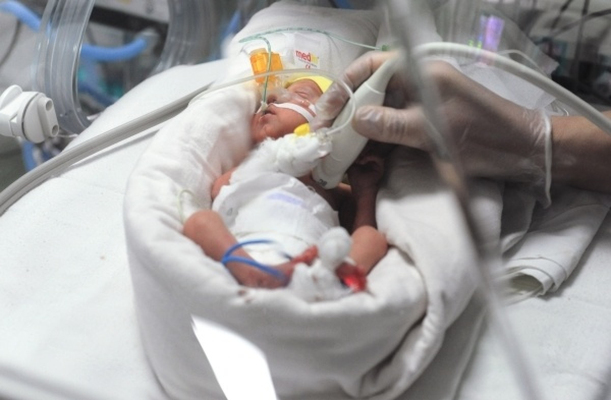  Алексей Сухоруков / РИА Новости