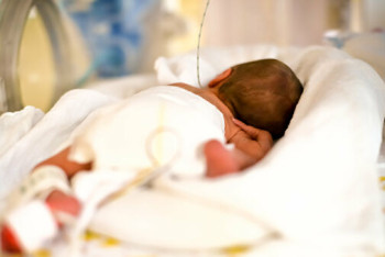 Фотография к новости: О состоянии найденного в арыке новорожденного рассказали врачи Алматы