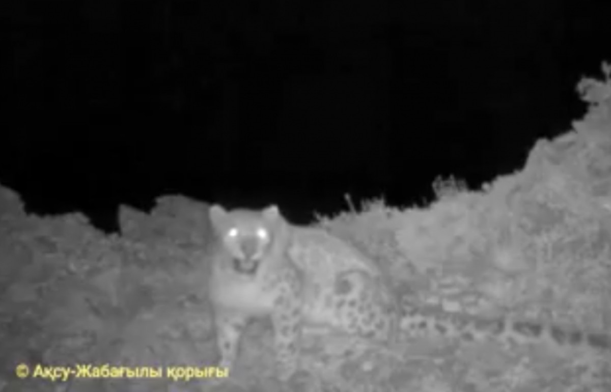  Кадр из видео