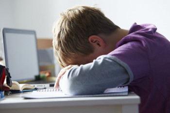 Фотография к новости: Принять закон по защите детей от интернет-травли поручил Токаев