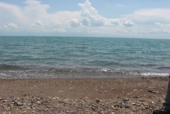 Фотография к новости: Акимат Капшагая прокомментировал объявление о продаже участка на побережье за 49 миллионов тенге