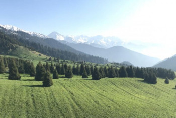 Фотография к новости: Сенат одобрил законопроект о возврате Кок-Жайляу в состав Иле-Алатауского нацпарка