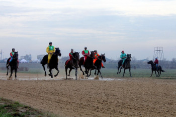 Фотография к новости: Шымкентцы VS BI group. Люди не хотят отдавать ипподром под застройку домов