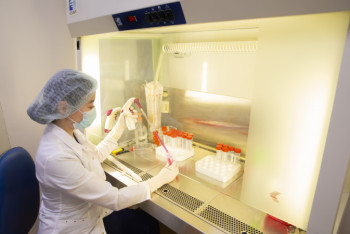 Фотография к новости: Врачи Нур-Султана вылечили стволовыми клетками более 13 тысяч пациентов