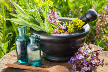 Фотография к новости: Лекарственные травы планируют использовать в производстве препаратов РК