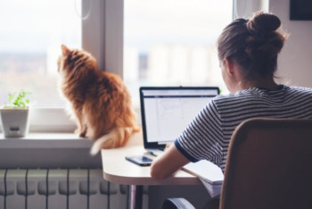 Фотография к новости: Около 2,5 миллиона казахстанцев перейдут на "удаленку" при ухудшении эпидситуации