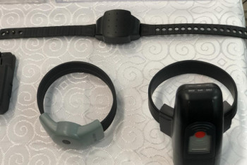 Фотография к новости: Около 400 миллионов тенге потратят на электронные браслеты для осужденных