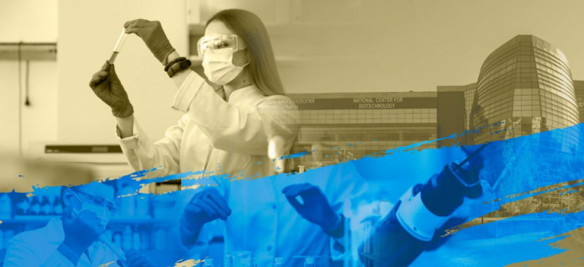  коллаж BaigeNews.kz