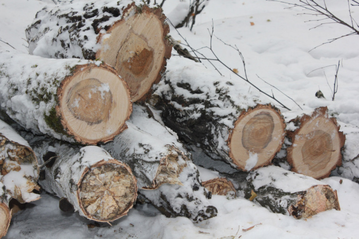  chelyabinsk.bezformata.com