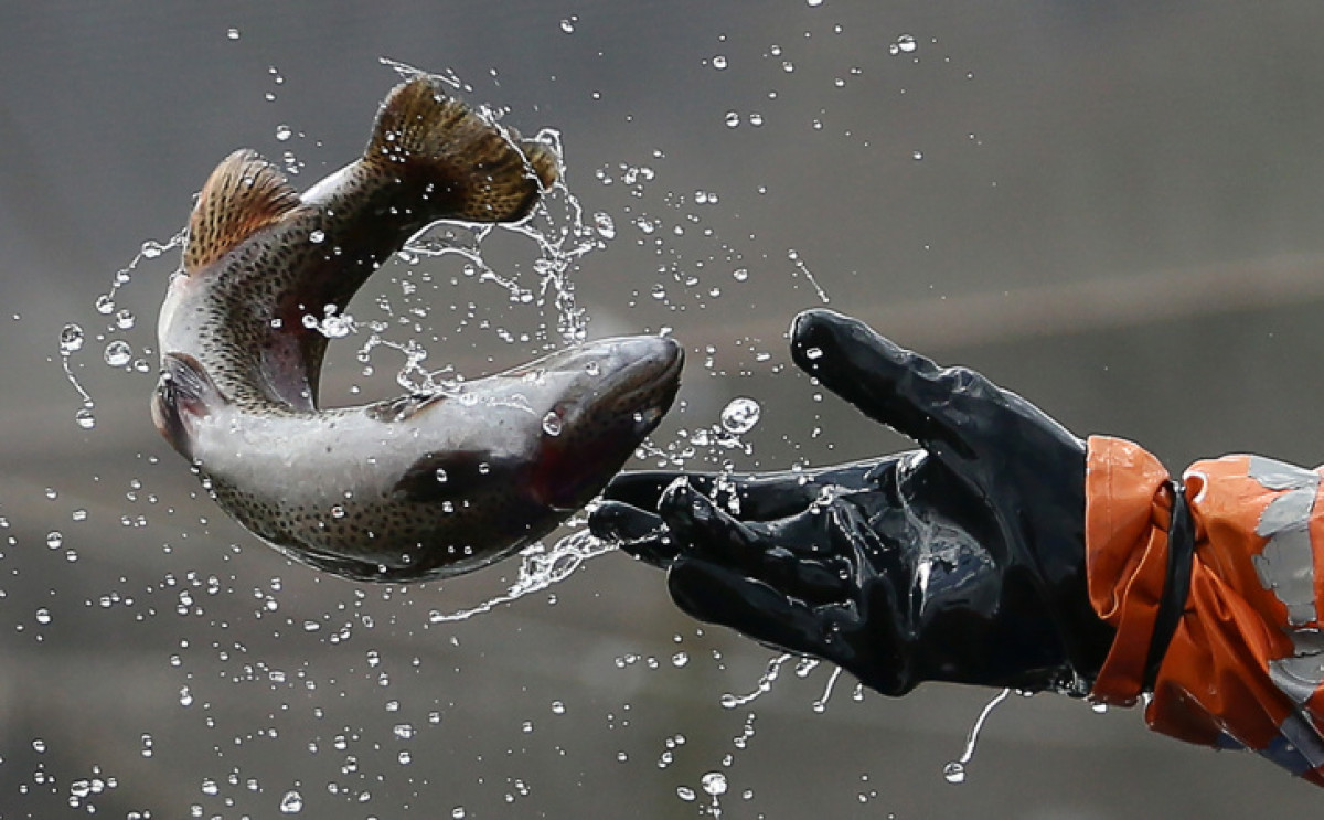  Дмитрий Феоктистов / ТАСС 