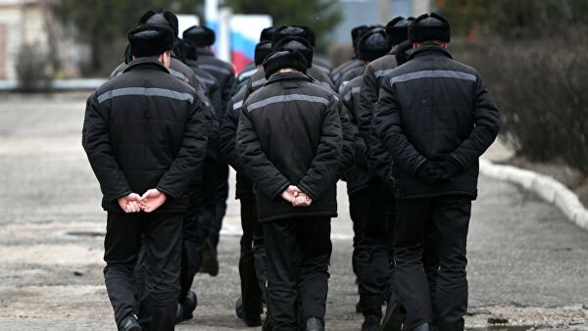  © РИА Новости / Максим Блинов