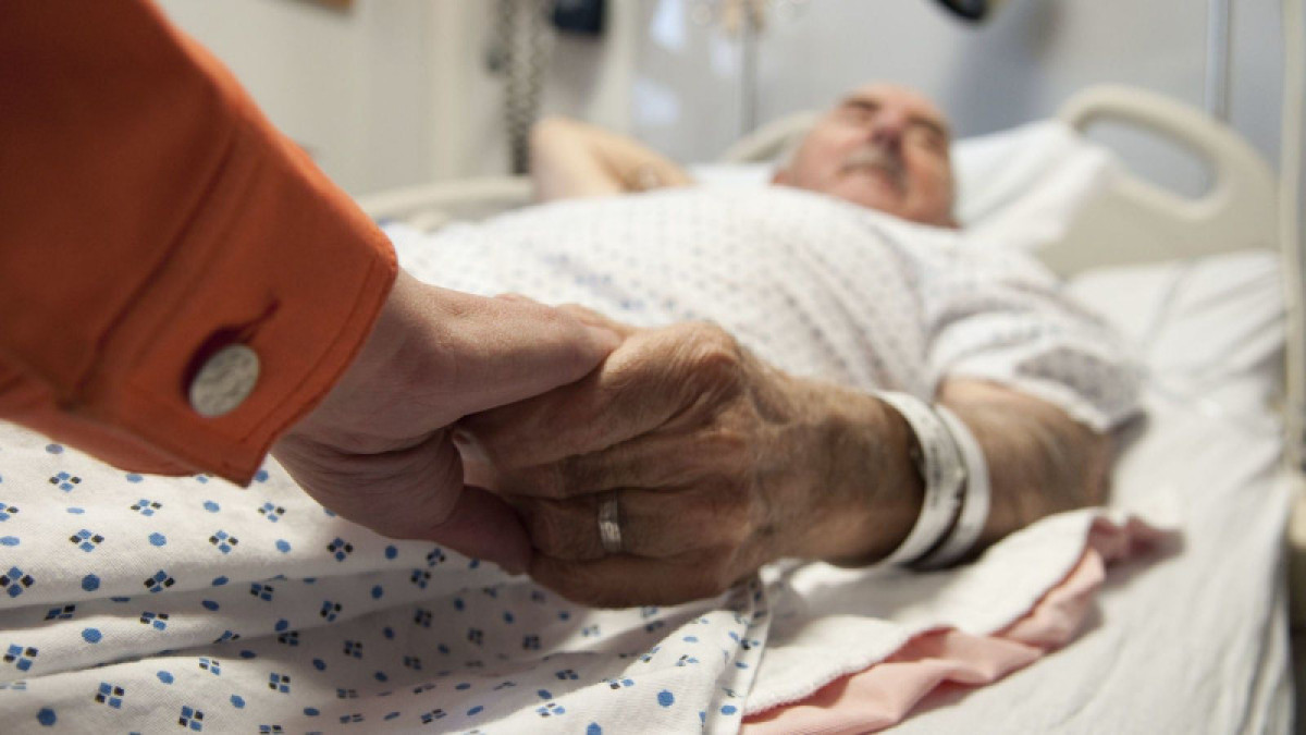  Фото с сайта kubnews.ru