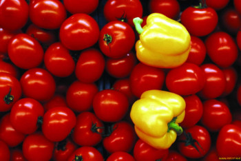 Фотография к новости: ЕЭК признала незаконным запрет казахстанских томатов и перцев в России