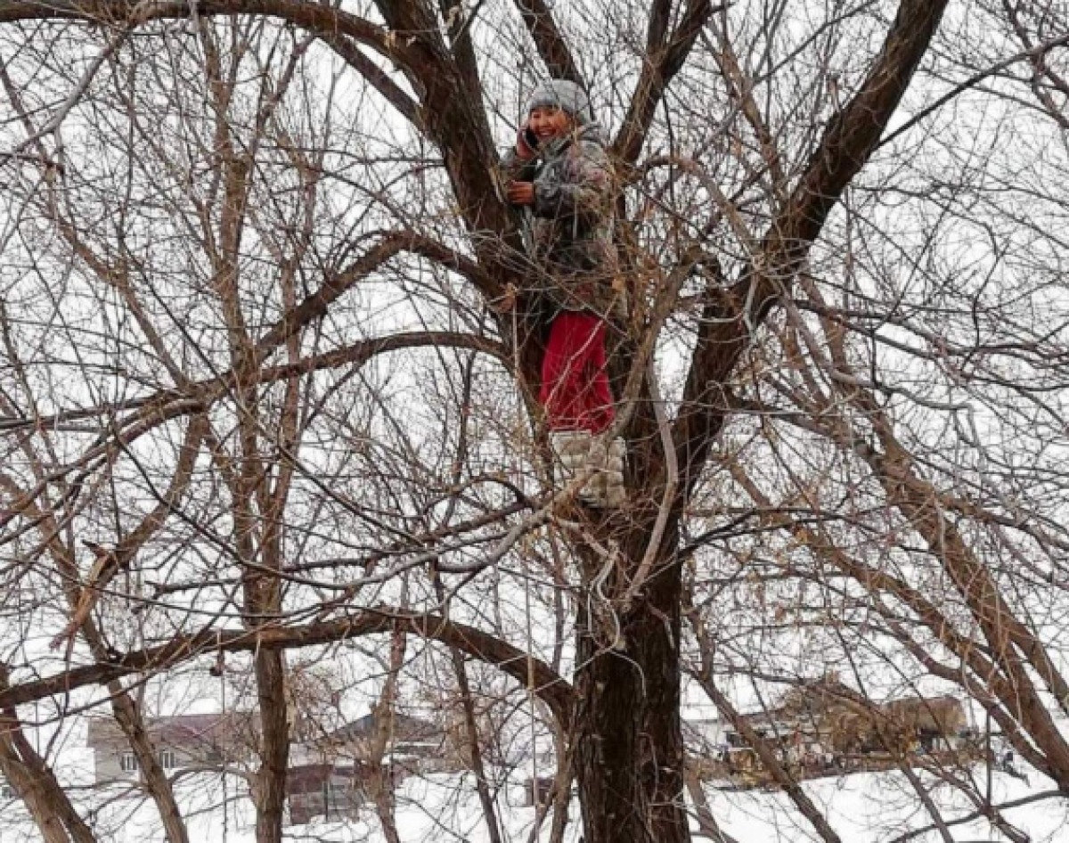  из соцсетей