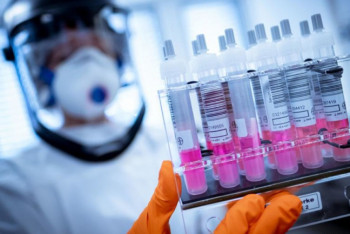 Фотография к новости: "Вирус шимпанзе, куриное яйцо" - как создавались известные вакцины