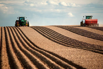 Фотография к новости: Токаев поручил подготовить предложения по развитию агронаучной сферы