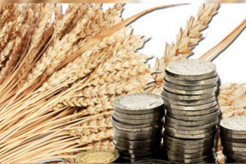 Фотография к новости: Льготные кредиты на 80 миллиардов тенге выданы фермерам РК на посевную