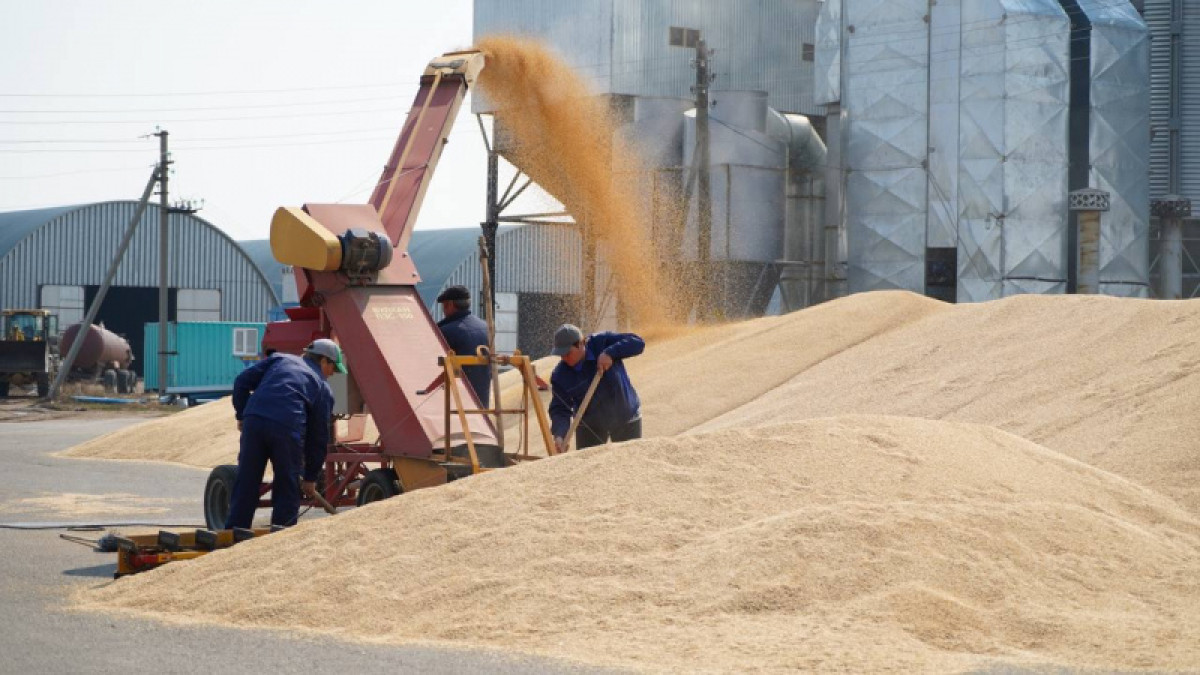  Асель Турар 