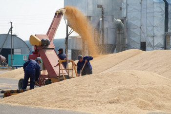 Фотография к новости: Построить новую деревню и вернуть закон о тунеядстве – акмолинские фермеры о том, как преодолеть дефицит кадров в АПК