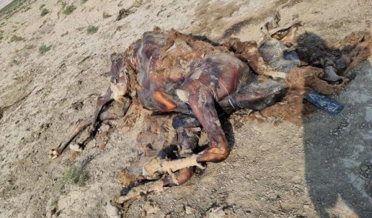  кадр из видео