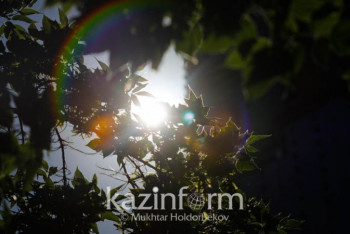 Фотография к новости: ЧП в Жамбылской области: нормы загрязнения воздуха не превышены