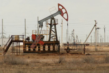 Фотография к новости: Провести ревизию всех месторождений поручил Токаев