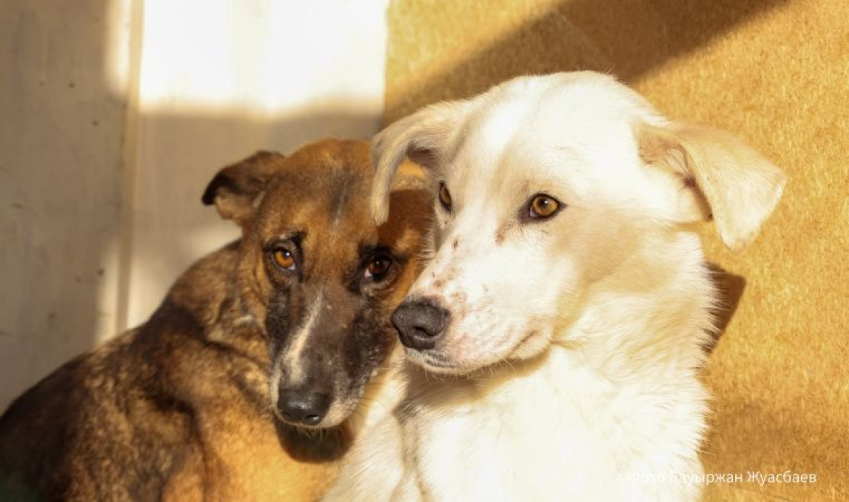  Бауыржана Жуасбаева